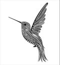 Vector Hummingbird from patterns. Original illustration in zentangle style